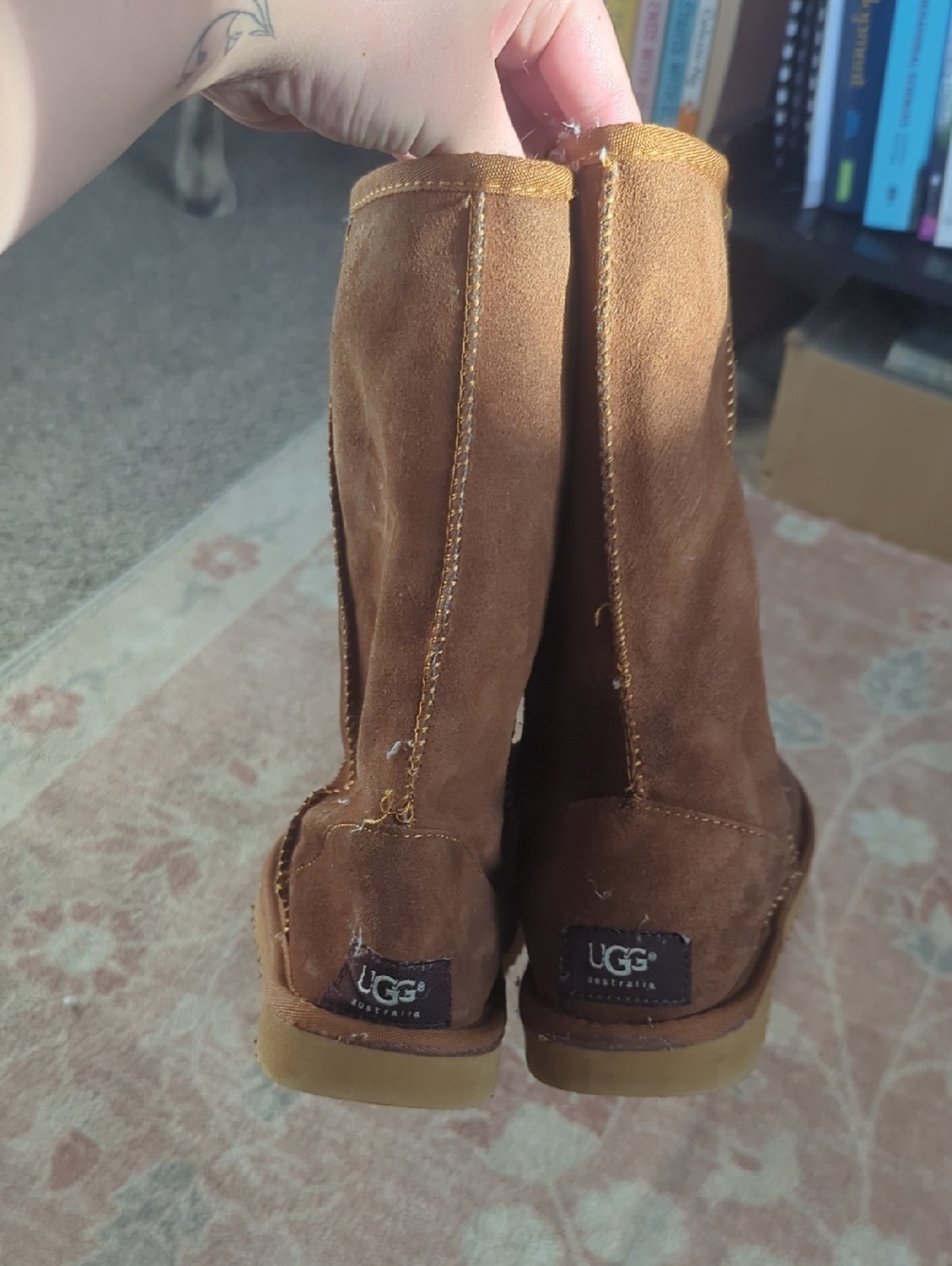 UGG Chestnut Brown Suede Short Booties